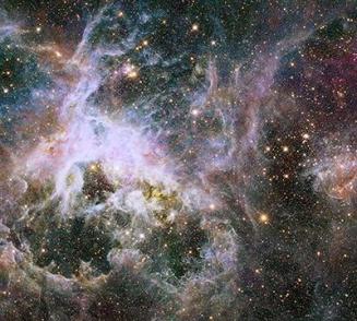 Tarantual nebula