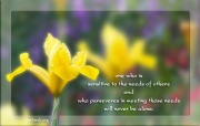 One-who-is-sensitive-to-the-needs-of-others-and-who-perseveres-in-meeting-those-needs-will-never-be-alone.